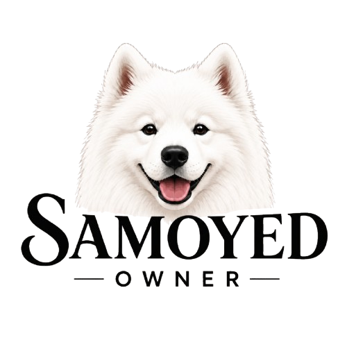 Samoyed Owner