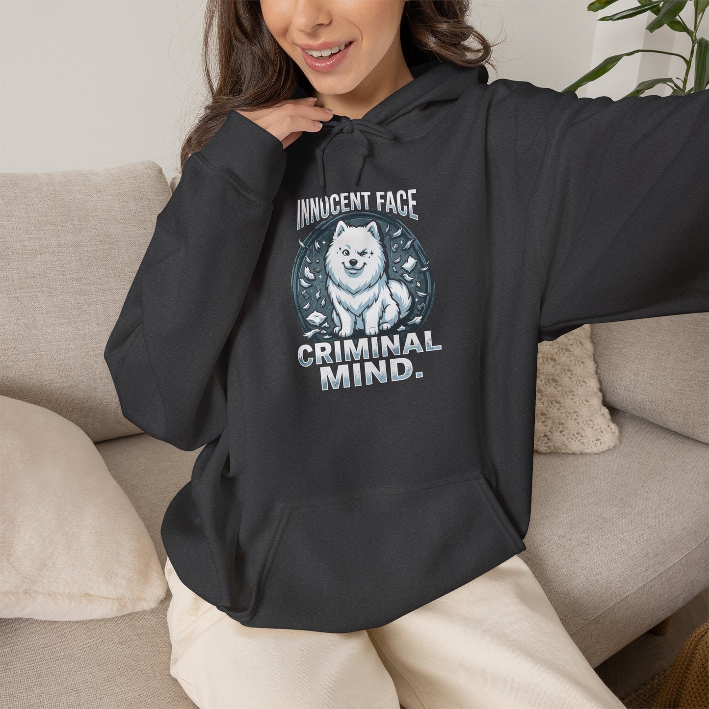 "Innocent Face, Criminal Mind" Hoodie — dark heather