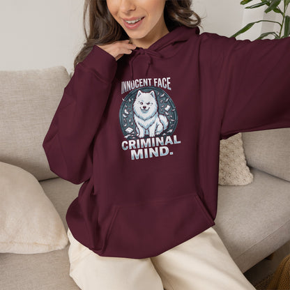 "Innocent Face, Criminal Mind" Hoodie — maroon