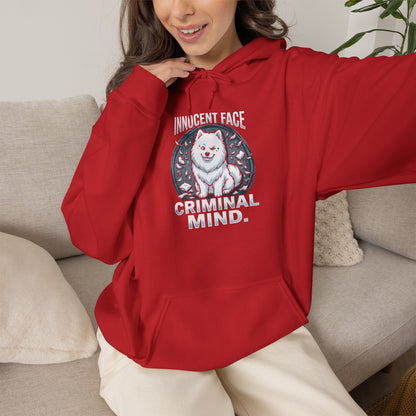 "Innocent Face, Criminal Mind" Hoodie — red